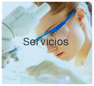 servicios